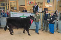 Champion Galloway (1)